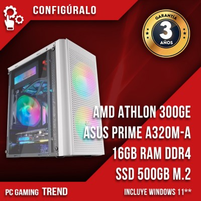PC Gaming AMD Athlon 300GE Nakadia