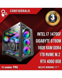 PC Gaming Pro Intel Core I7 14700F – NVIDIA RTX 4060 8gb Shili